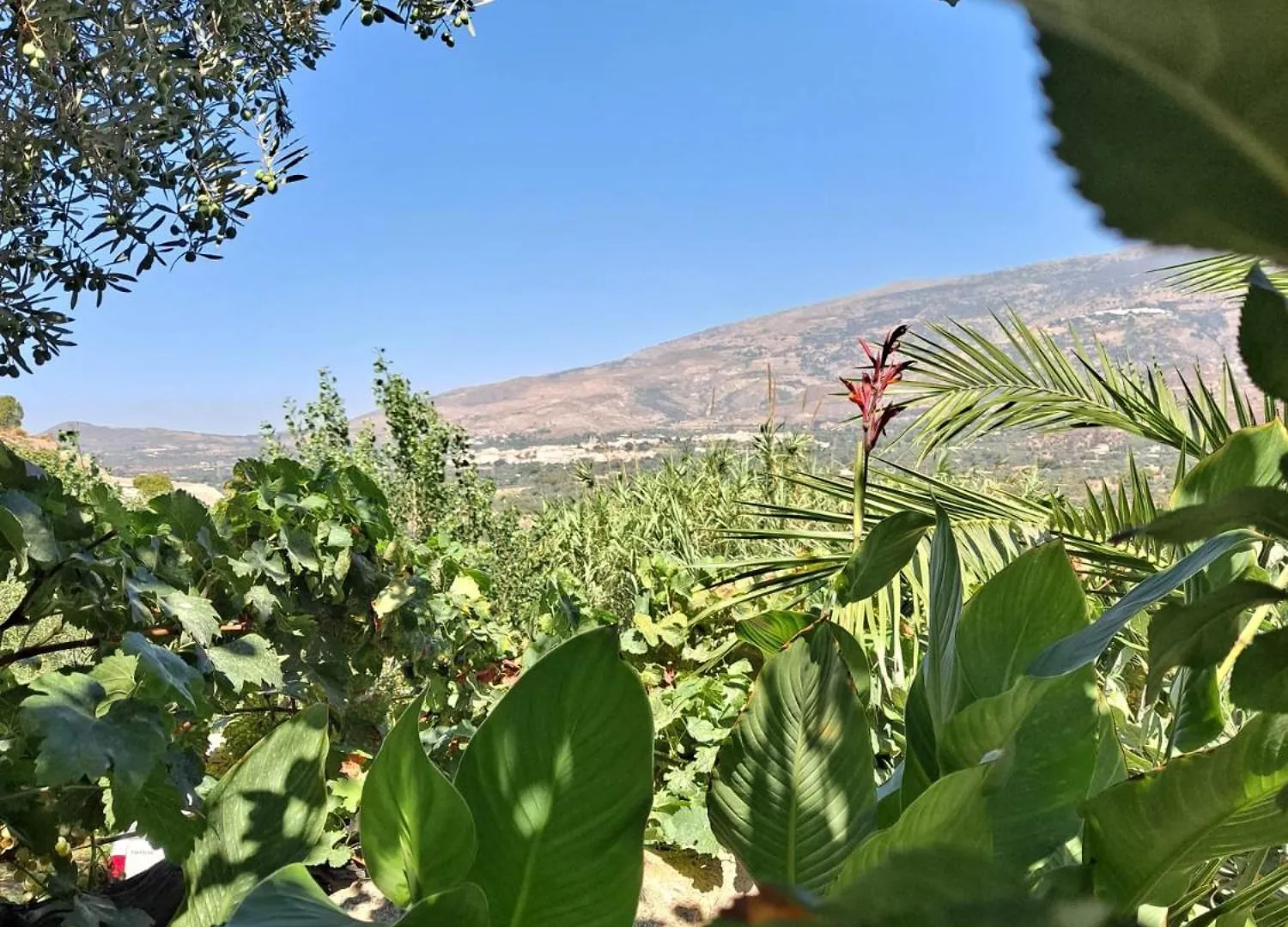 Holiday home Casas Amaro Villa Orgiva