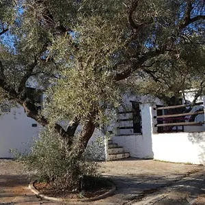 Gateway To The Alpujarras, 'cortijo Derry' Guest house